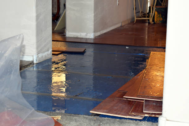 Professional Basement Flood Cleanup technician working in Shorewood, WI